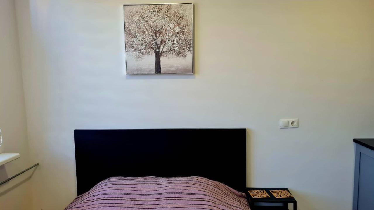 Taikos Studio 8,, Free Parking Klaipėda Kültér fotó